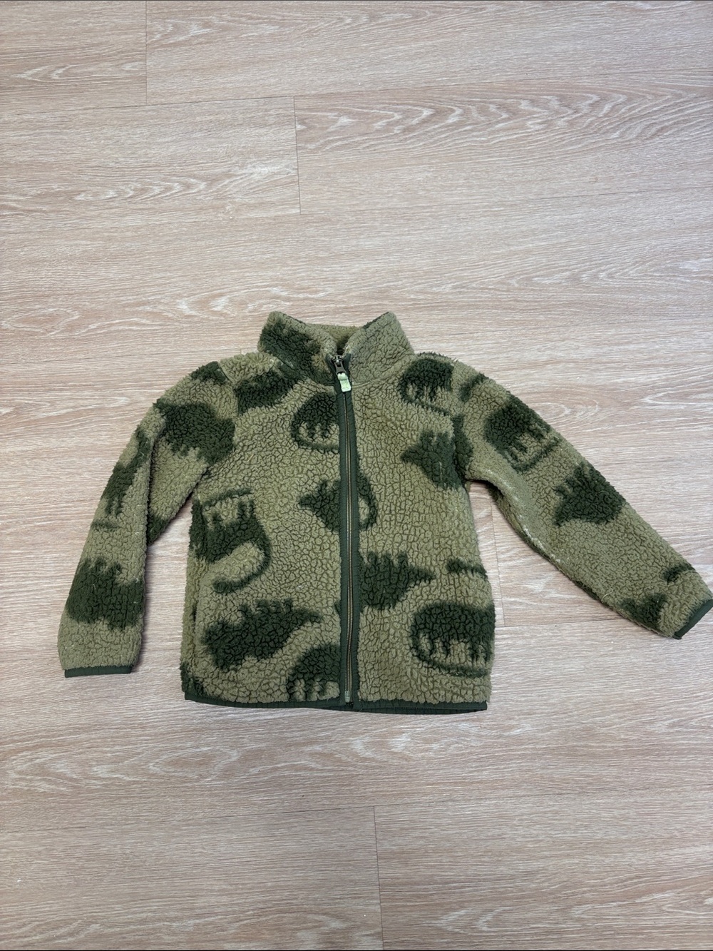 Carter's Boys 5T Green Dinosaur Print Fleece Jacket
